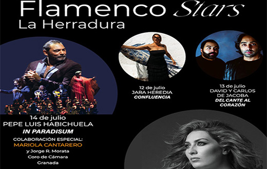 Imagen descriptiva del evento Flamenco Stars